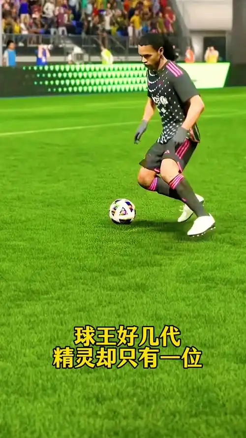 本文将为您
